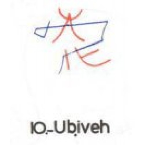  10: Ubiveh 