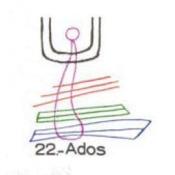  22: Ados 