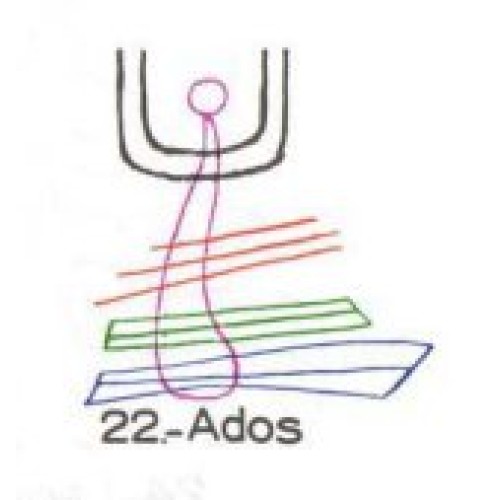  22: Ados 