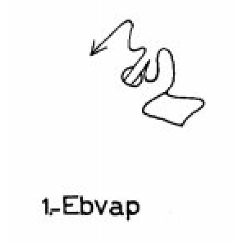 1: Ebvap 1: Ebvap