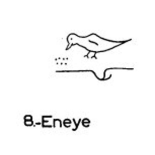 8: Eneye 8: Eneye