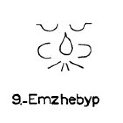  9: Emzhebyp 