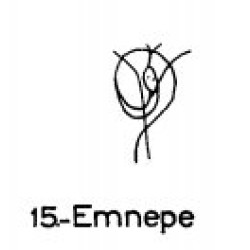  15: Emnepe 