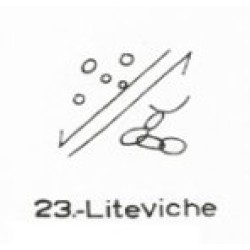  23: Liteviche 