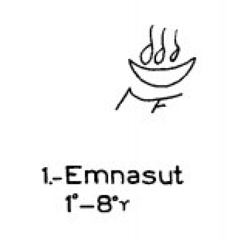 1: Emnasut 