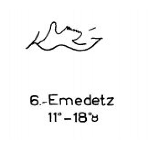 6: Emedetz 