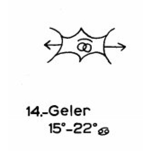 14: Geler 14: Geler