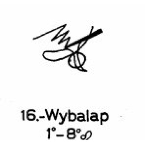 16: Wybalap 
