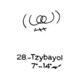 28: Tzybayol 