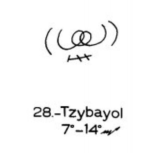 28: Tzybayol 