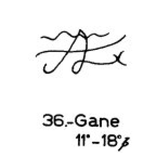 36: Gane 