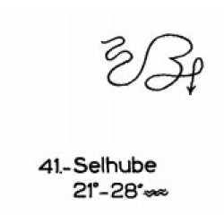 41: Selhube 