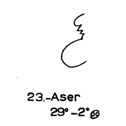23) Aser