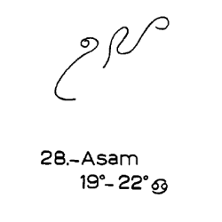 28) Asam