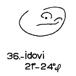 36) Idovi
