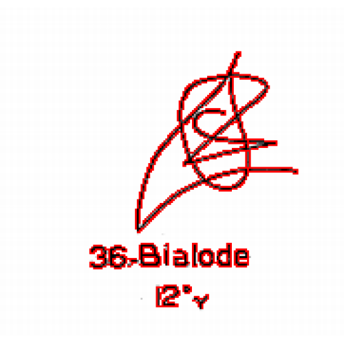 36: Bialode 36: Bialode