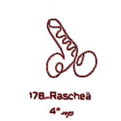  178:Raschea 