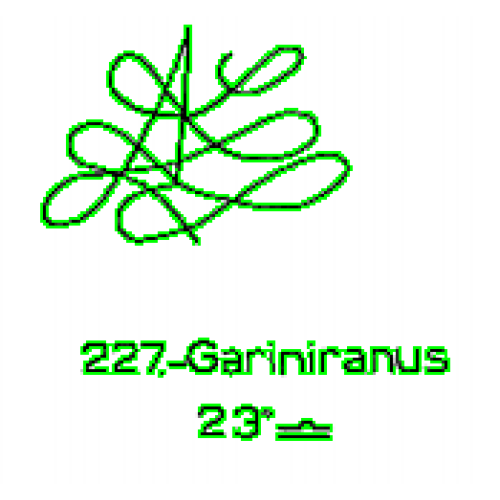 227: Gariniranus 227: Gariniranus