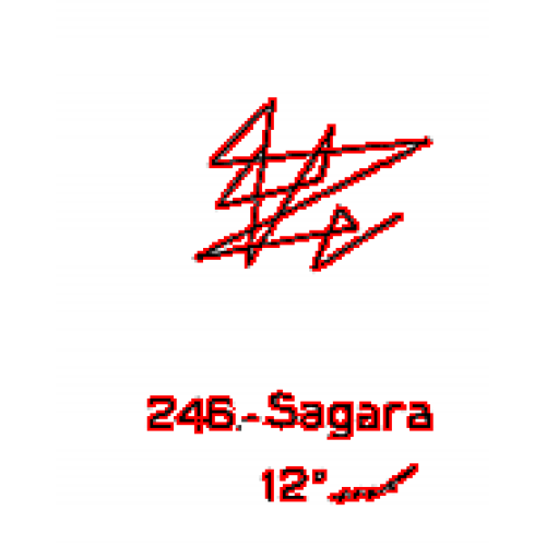  246: Sagar 
