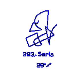 293: Saris 293: Saris