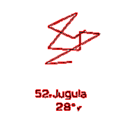 52: Jugula 52: Jugula