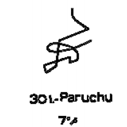 301: Paruchu 301: Paruchu