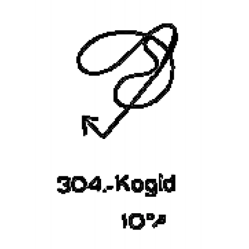  304: Kogid 