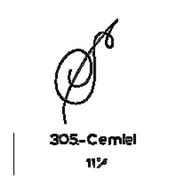 305: Cermiel 305: Cermiel