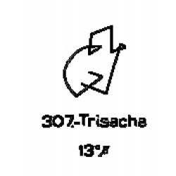 307: Trisacha 307: Trisacha
