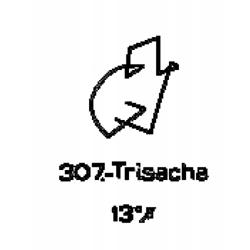  307: Trisacha 