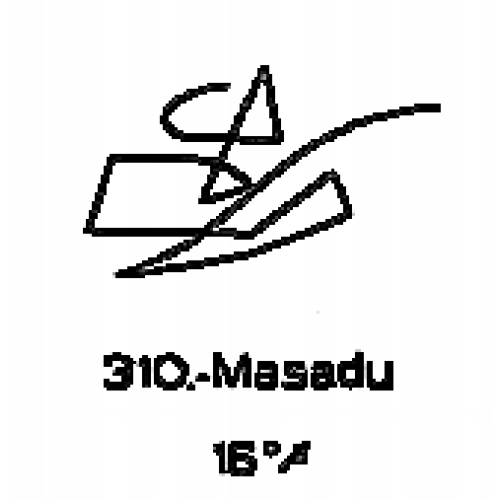 310: Masadu 310: Masadu