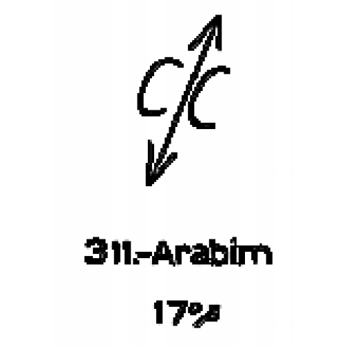  311: Arabim 
