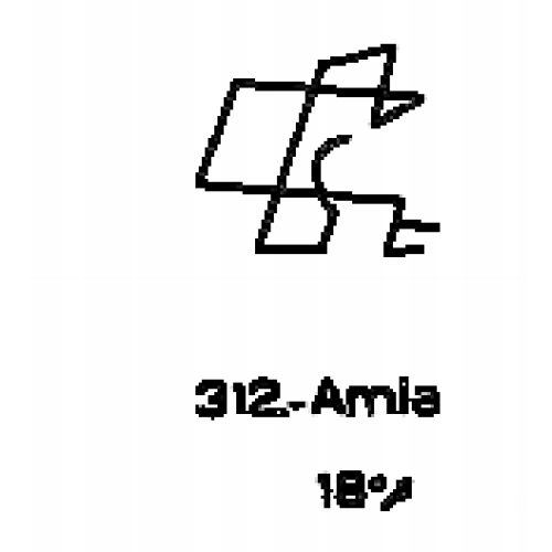  312: Amia 
