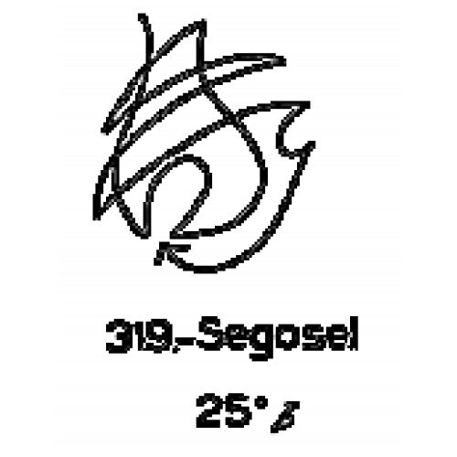  319: Segosel 