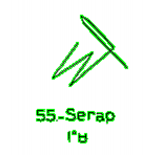 55: Serap 55: Serap