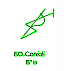 60: Conioli 60: Conioli