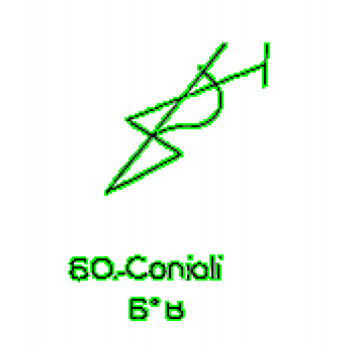 60: Conioli 60: Conioli