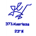 377: Kaerlesa 377: Kaerlesa