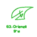 63: Orienell 63: Orienell