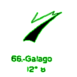 66: Galago 66: Galago