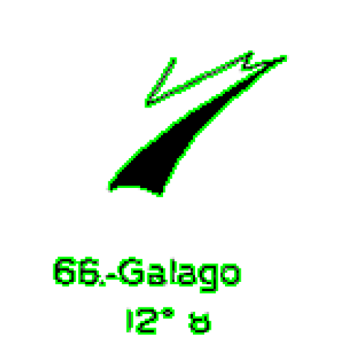  66: Galago 