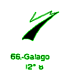  66: Galago 