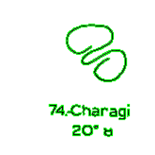  74: Charagi 