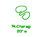  74: Charagi 