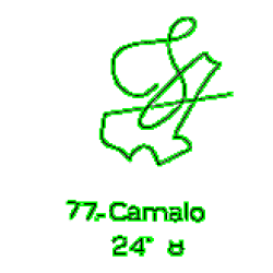  77: Camalo 