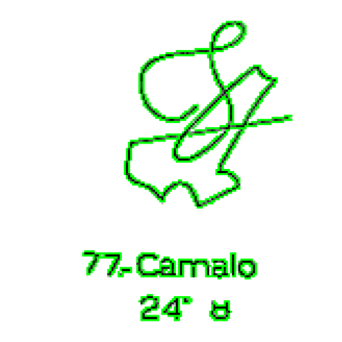 77: Camalo 77: Camalo