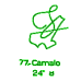 77: Camalo 77: Camalo