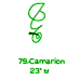 79: Camarion 79: Camarion