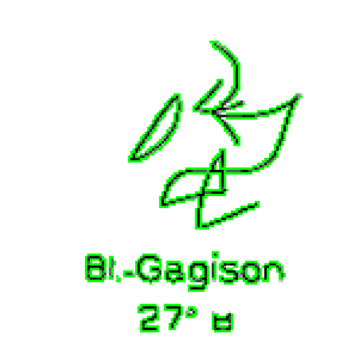 81: Gagison 81: Gagison
