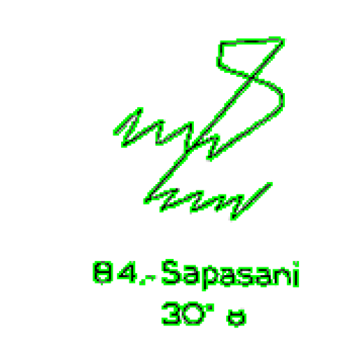  84: Sapasani 